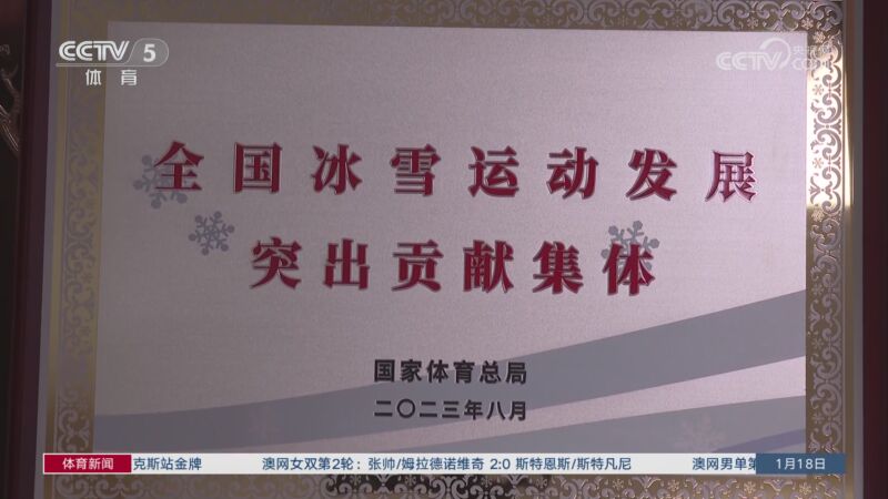 术选择和球